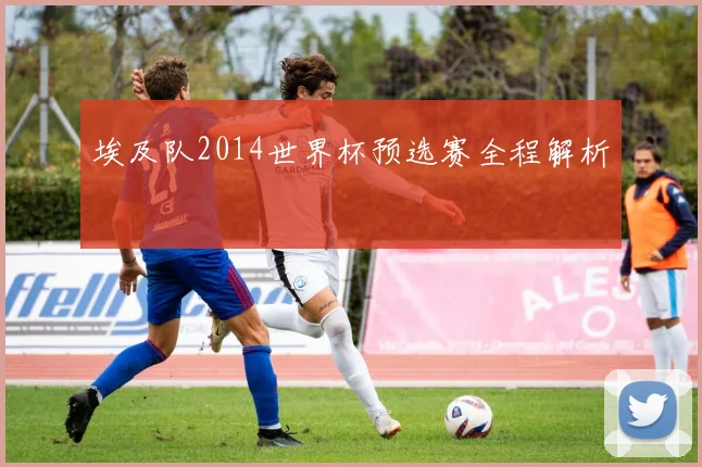 埃及队2014世界杯预选赛全程解析
