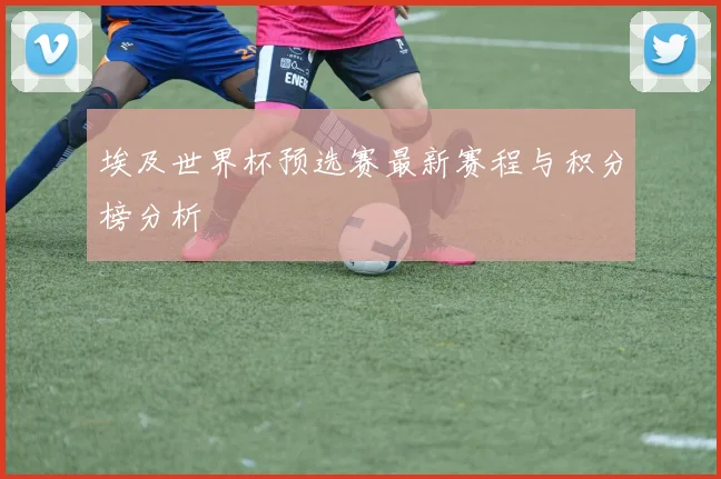 埃及世界杯预选赛最新赛程与积分榜分析
