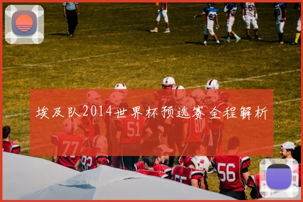 埃及队2014世界杯预选赛全程解析