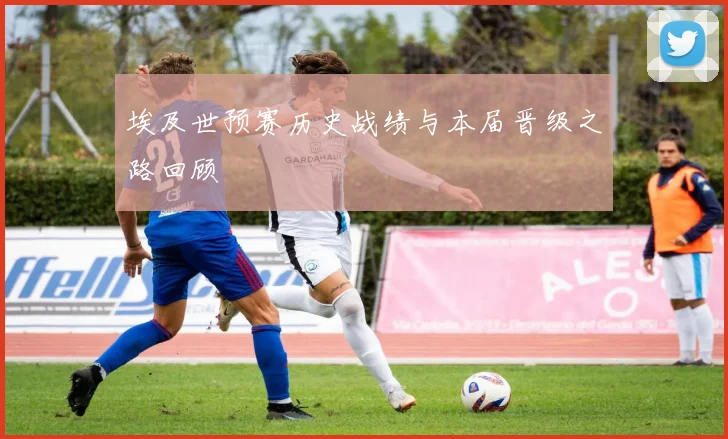 埃及世预赛历史战绩与本届晋级之路回顾