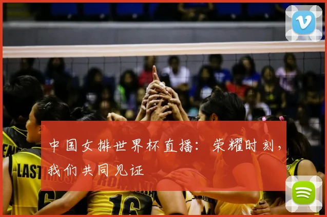 中国女排世界杯直播：荣耀时刻，我们共同见证