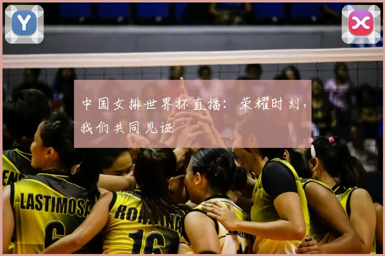中国女排世界杯直播：荣耀时刻，我们共同见证